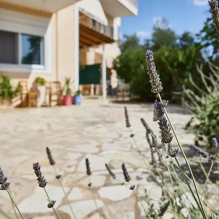 Διαμέρισμα Paralia Vergas