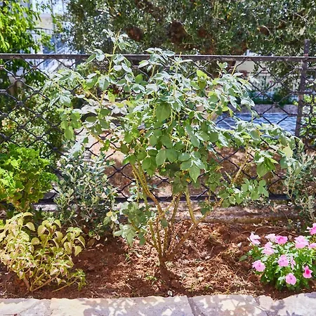 Appartement Paralia Vergas *