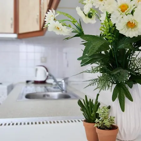 Appartement Paralia Vergas *