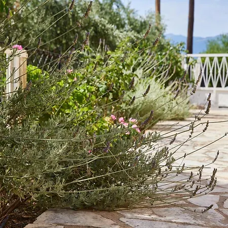 Διαμέρισμα Paralia Vergas Βέργα Καλαμάτας