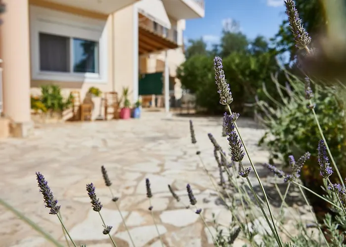 Appartement Paralia Vergas