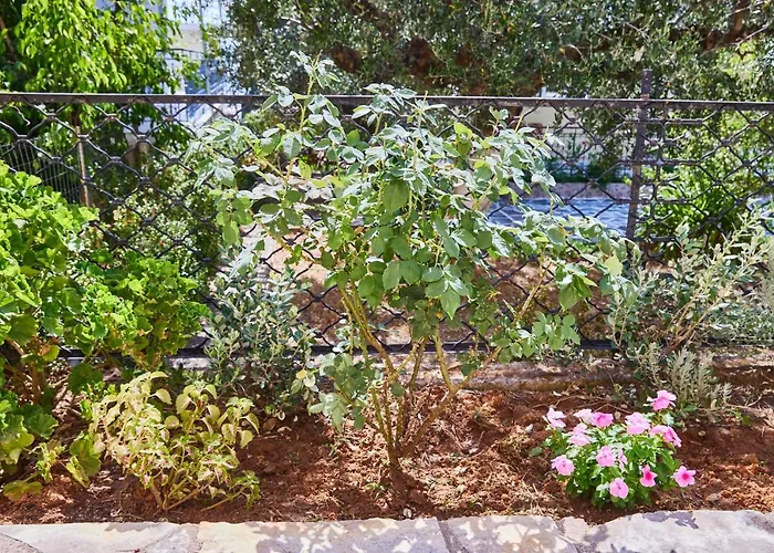 Appartement Paralia Vergas *