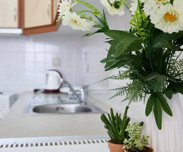 Apartman Paralia Vergas *